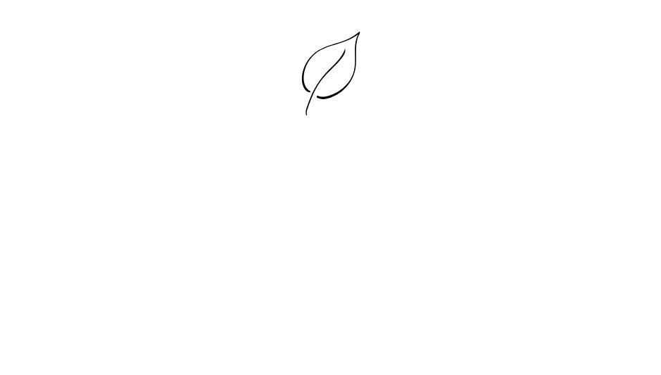 Link 1